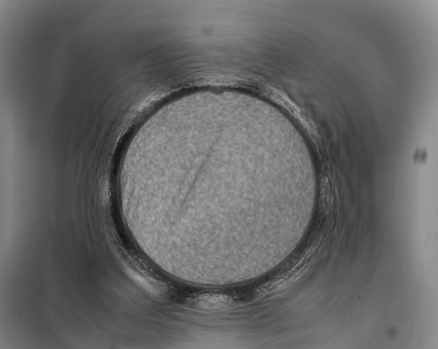 X0000098020203200804251145
