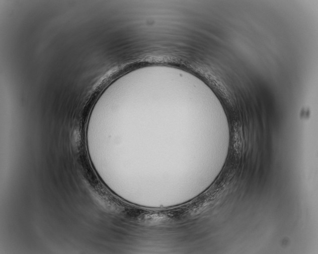 X0000098020208200804251145