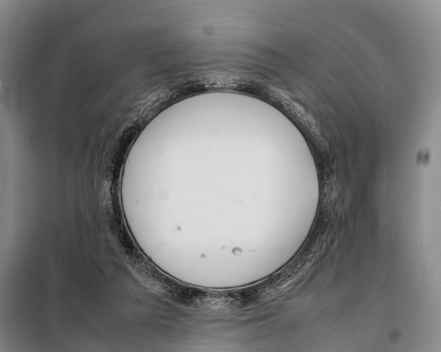 X0000098020209200804251145
