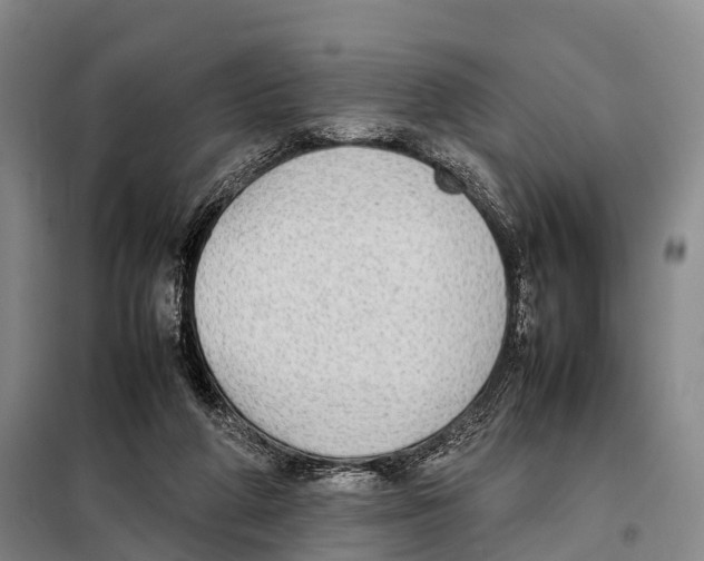 X0000098020210200804251145