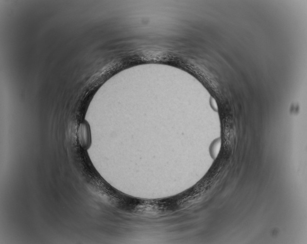 X0000098020211200804251145