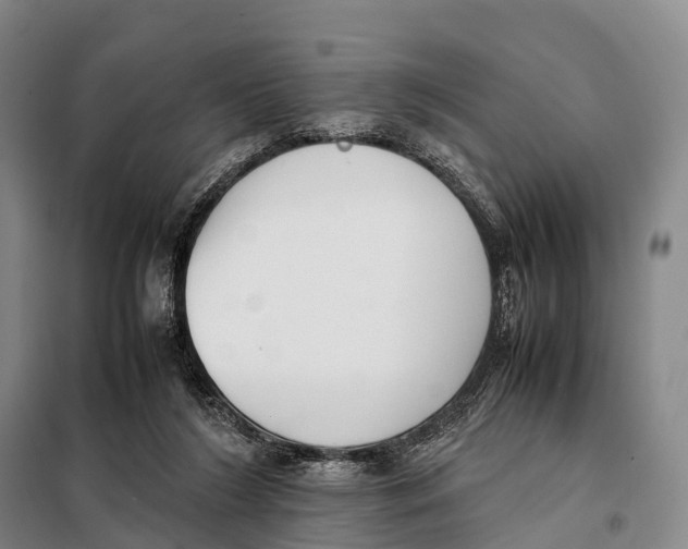 X0000098020212200804251145