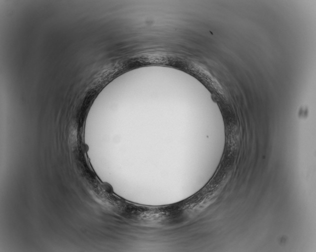X0000098020213200804251145