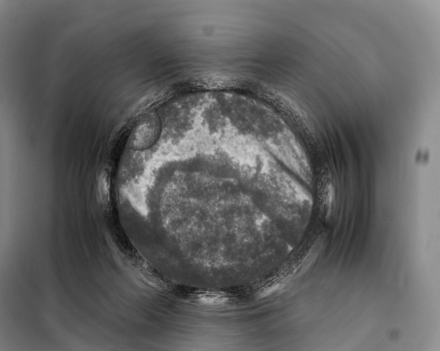 X0000098020214200804251145