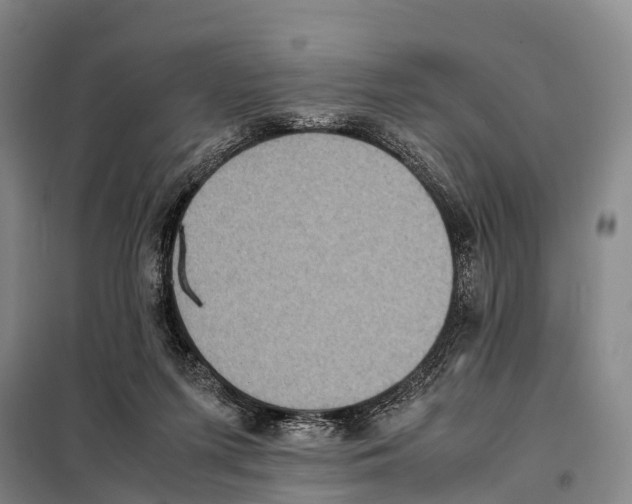 X0000098020215200804251145