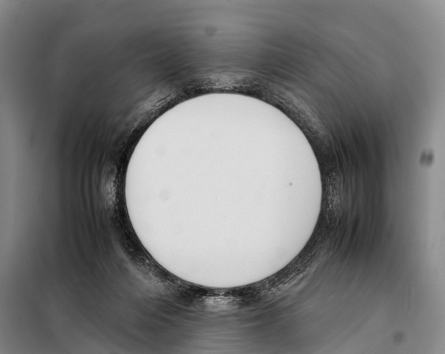 X0000098020216200804251145