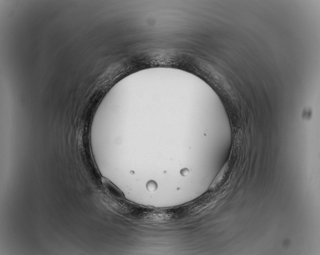X0000098020217200804251145