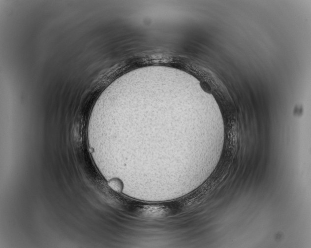 X0000098020218200804251145