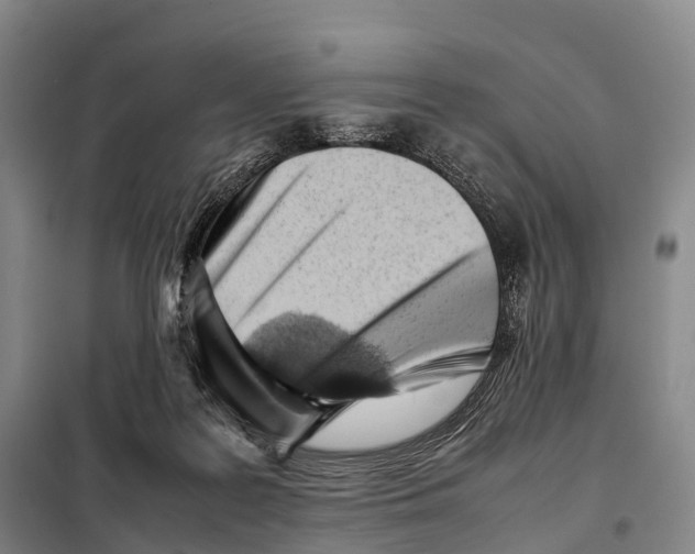 X0000098020219200804251145