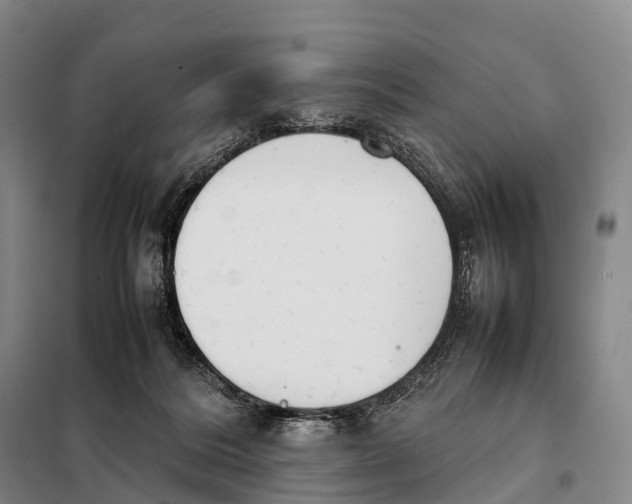 X0000098020220200804251145