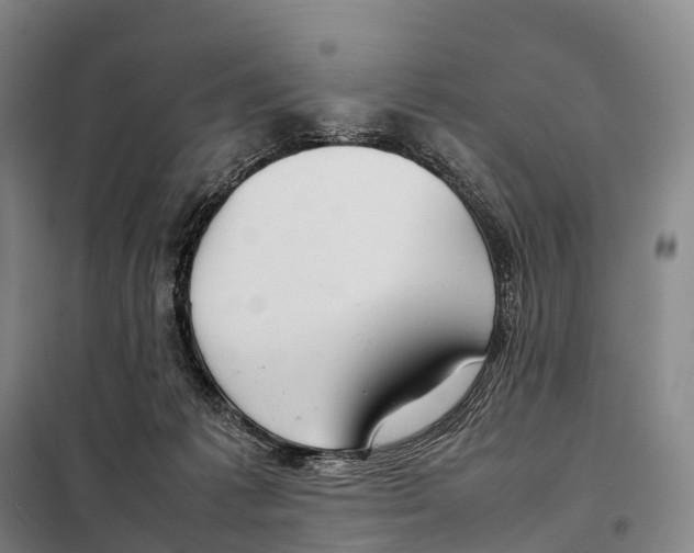 X0000098020221200804251145