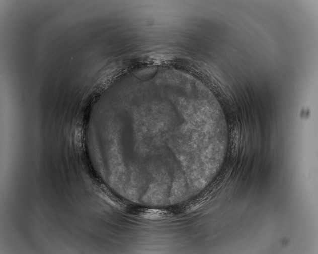 X0000098020222200804251145