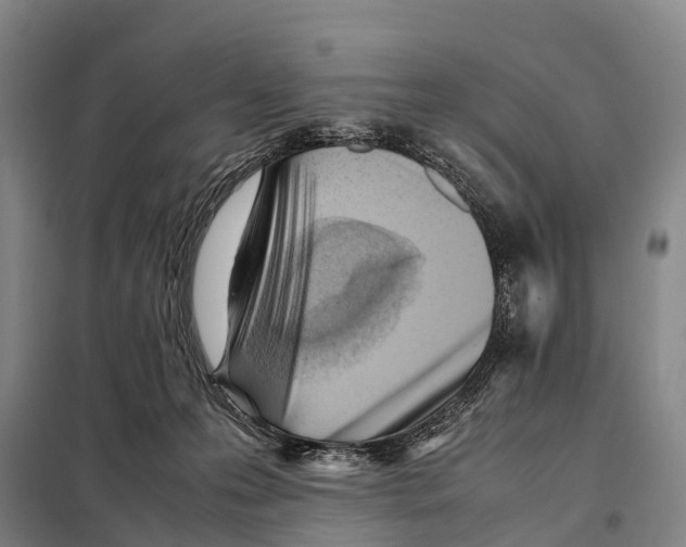 X0000098020223200804251145
