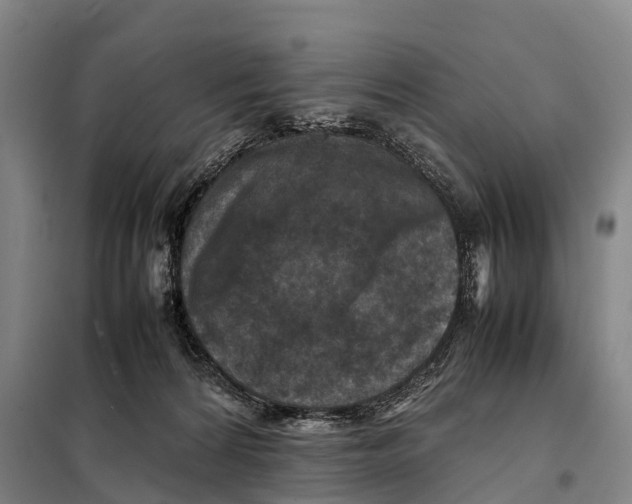 X0000098020224200804251145