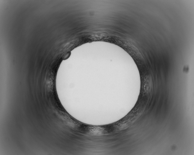X0000098020226200804251145