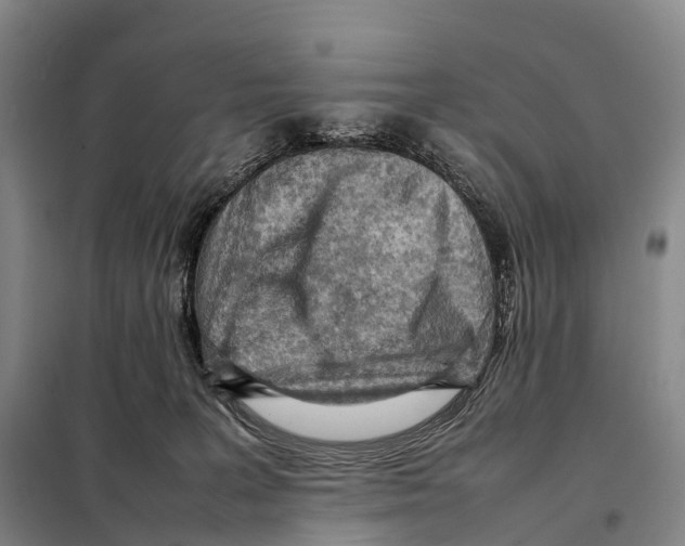 X0000098020227200804251144
