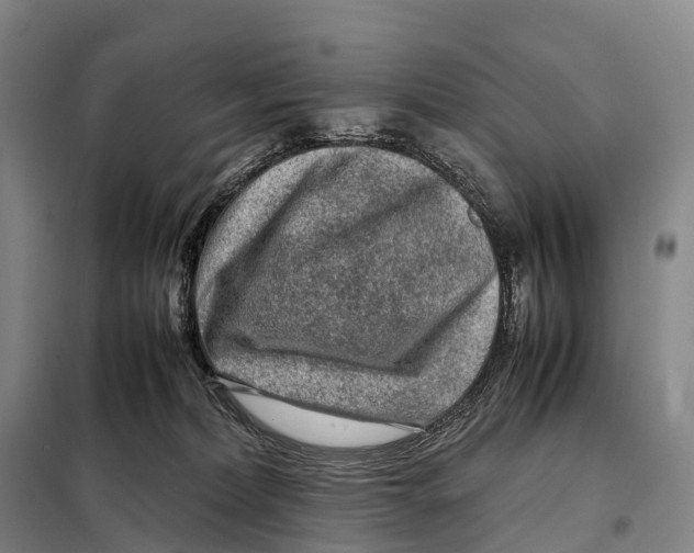 X0000098020228200804251144