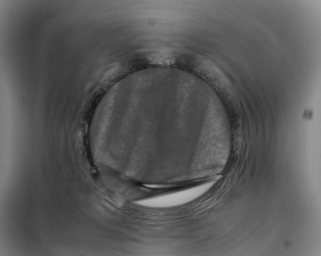 X0000098020229200804251144