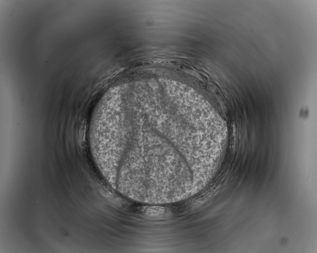 X0000098020230200804251144