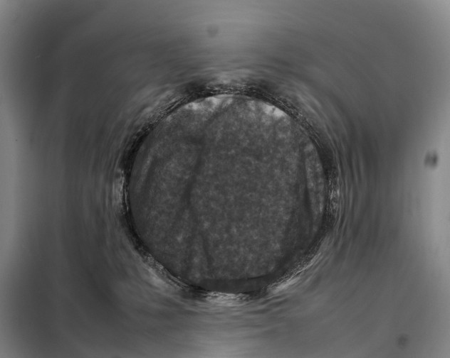X0000098020231200804251144
