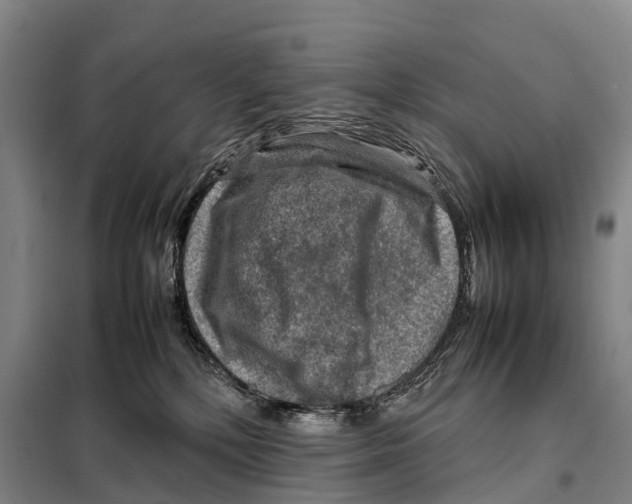 X0000098020232200804251144