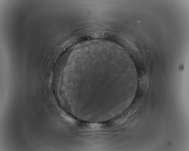 X0000098020233200804251144