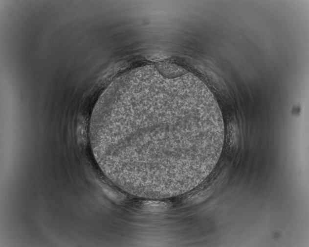 X0000098020234200804251144
