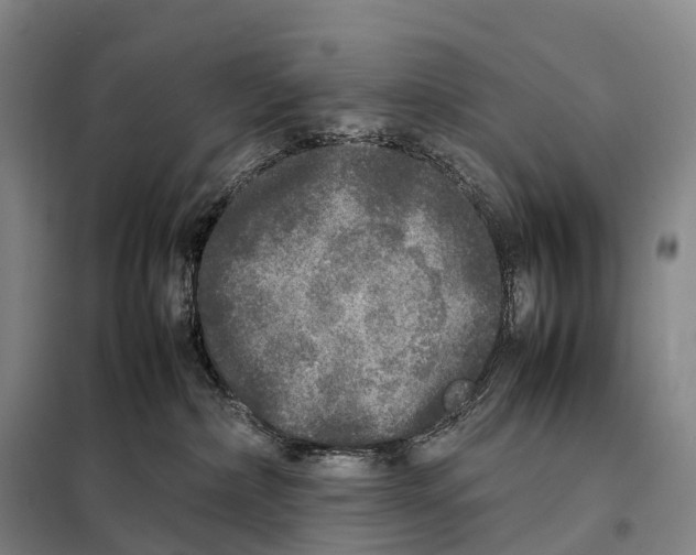 X0000098020236200804251144