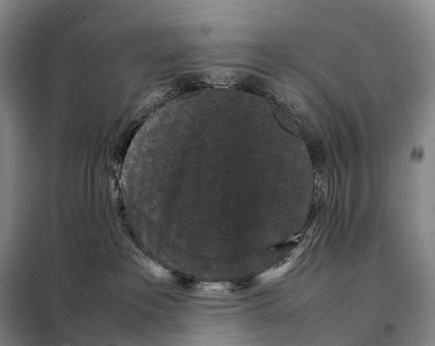 X0000098020237200804251144