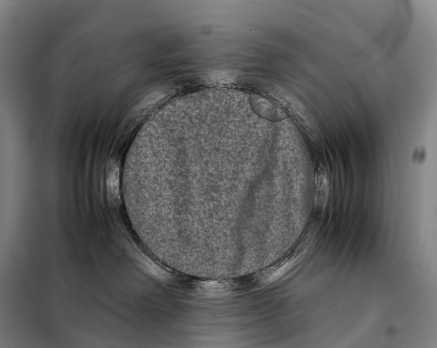 X0000098020238200804251144