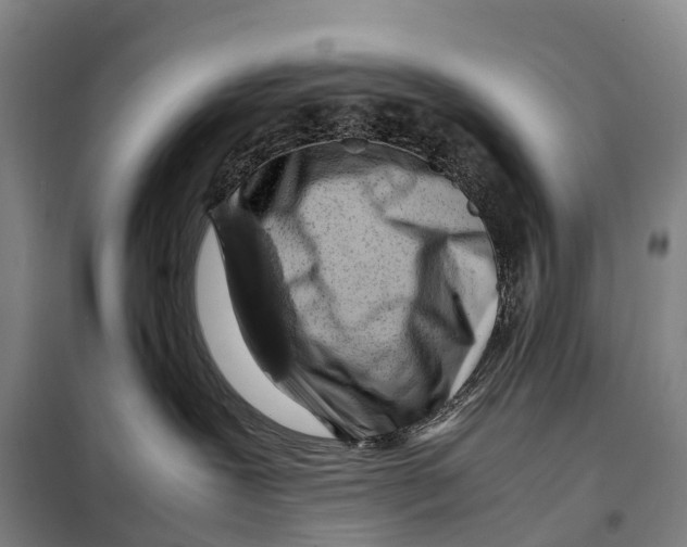 X0000098020239200804251144
