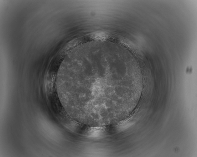 X0000098020240200804251144