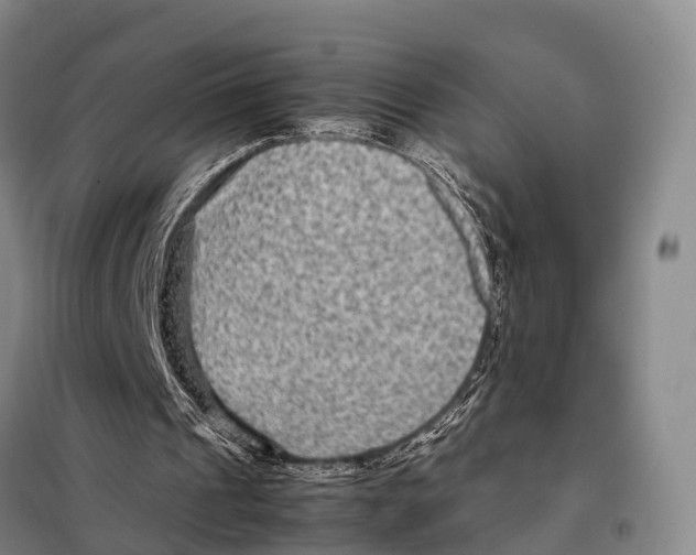 X0000098020241200804251144