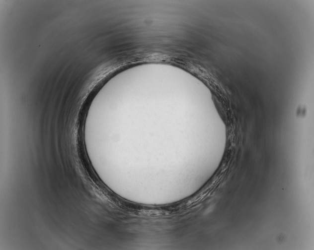 X0000098020242200804251144