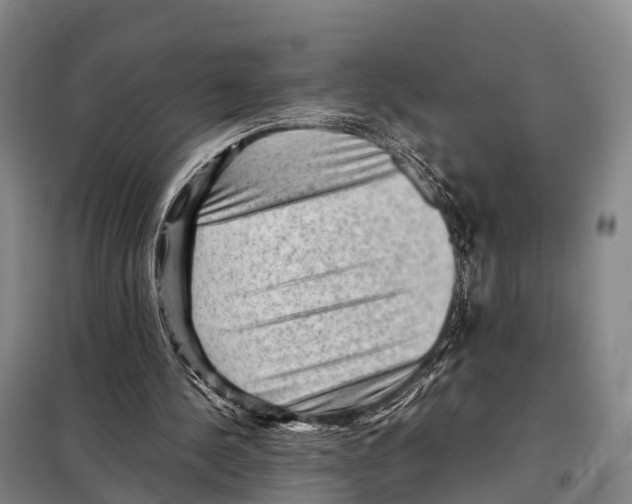 X0000098020244200804251144