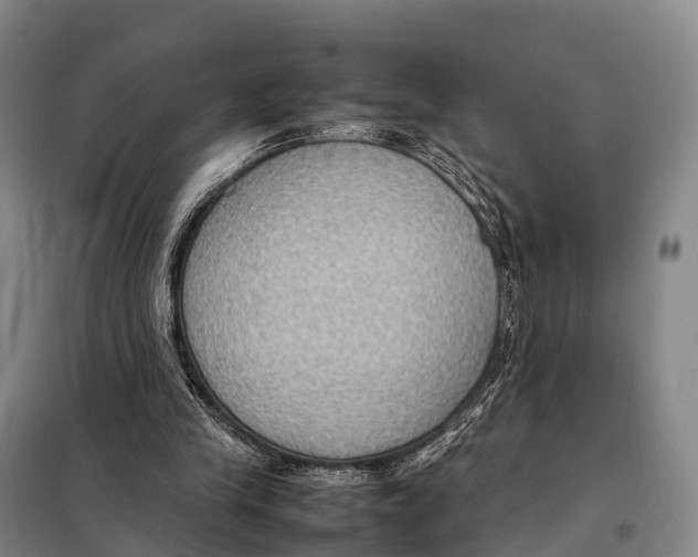 X0000098020245200804251144