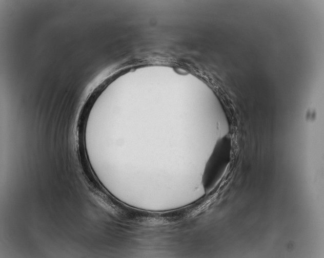 X0000098020246200804251144