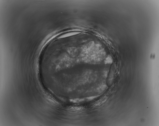 X0000098020247200804251144