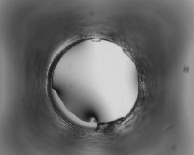 X0000098020248200804251144