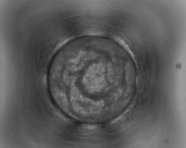 X0000098020249200804251144