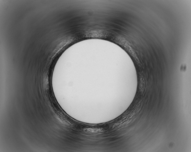 X0000098020251200804251144