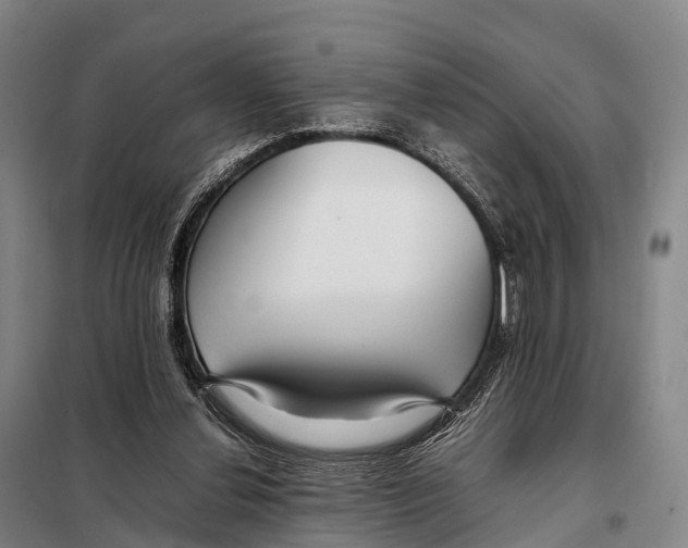 X0000098020252200804251144