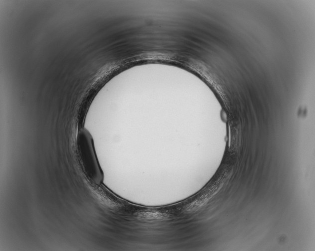X0000098020253200804251144