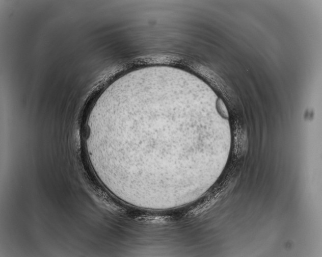 X0000098020254200804251144