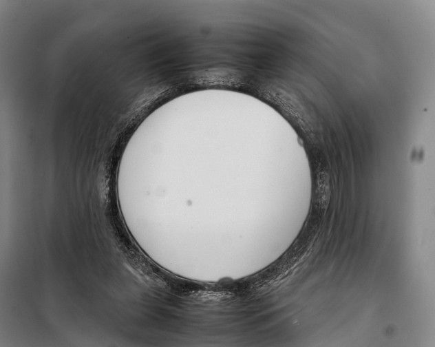 X0000098020255200804251144