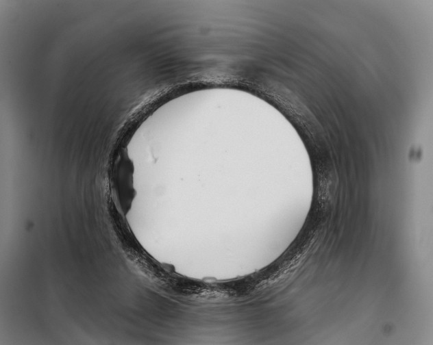 X0000098020256200804251144