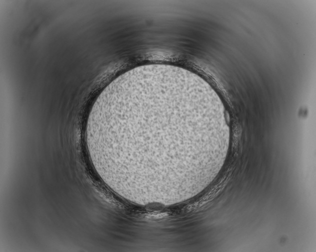 X0000098020257200804251144