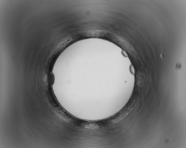X0000098020258200804251144