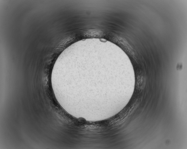 X0000098020259200804251144