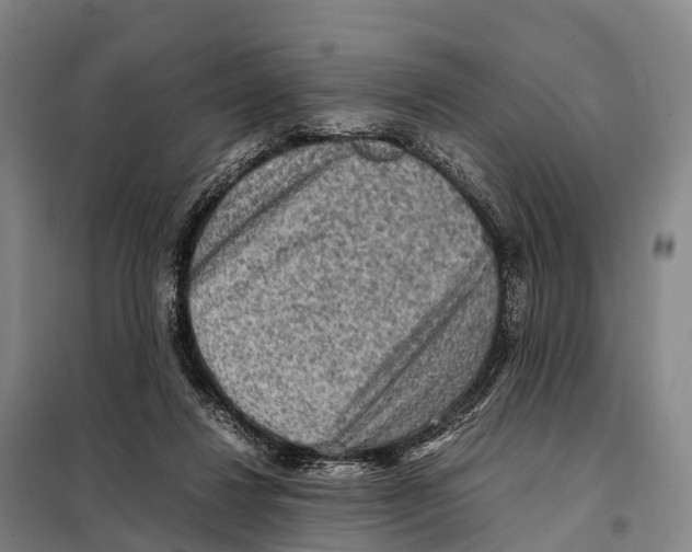 X0000098020260200804251144
